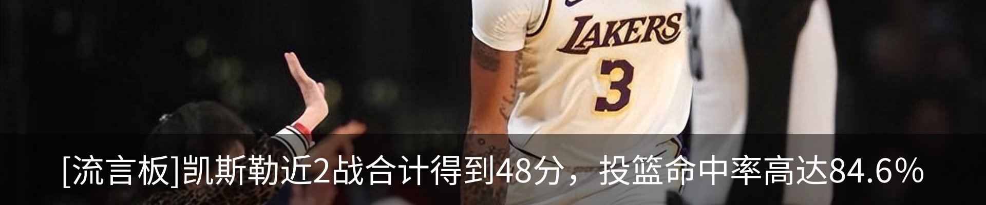 最新动态